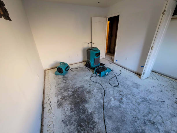 Professional Water damage restoration in Homosassa Springs, FL