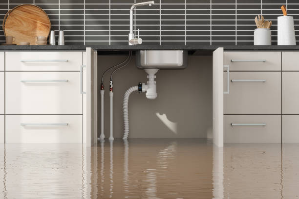 Fire Damage Restoration in Homosassa Springs, FL